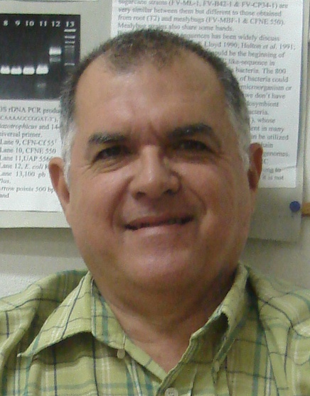 Dr. Eduardo Ortega Delgado